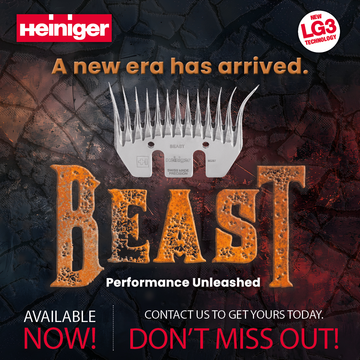 BEAST (BOX)