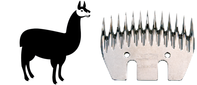 HEINIGER - CAMELID (SINGLE COMB)