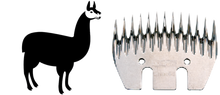 Load image into Gallery viewer, HEINIGER - CAMELID (SINGLE COMB)